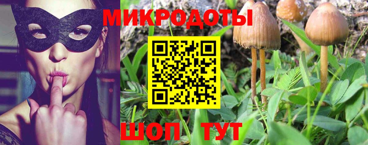 Галлюциногенные грибы Magic Shrooms  Вход с VPN  Прокопьевск  Галлюциногенные грибы ЛСД 